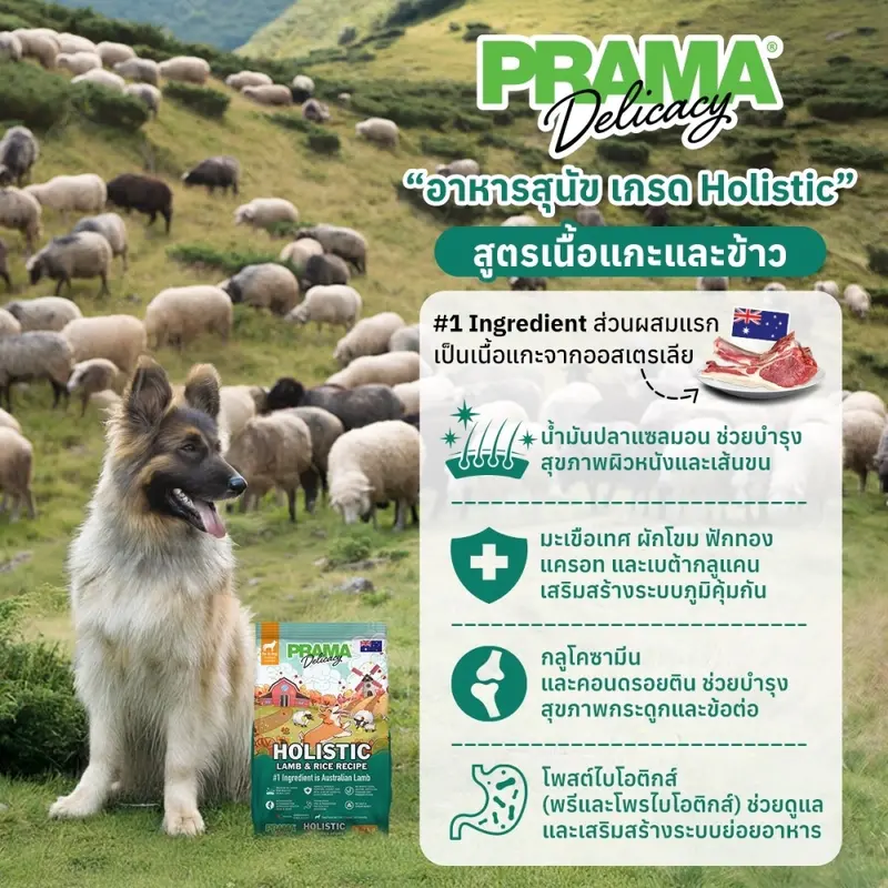 PRAMA อาหารสุนัข ทุกช่วงวัย กลูเตนฟรี บำรุงขน… - ภาพที่ 5
