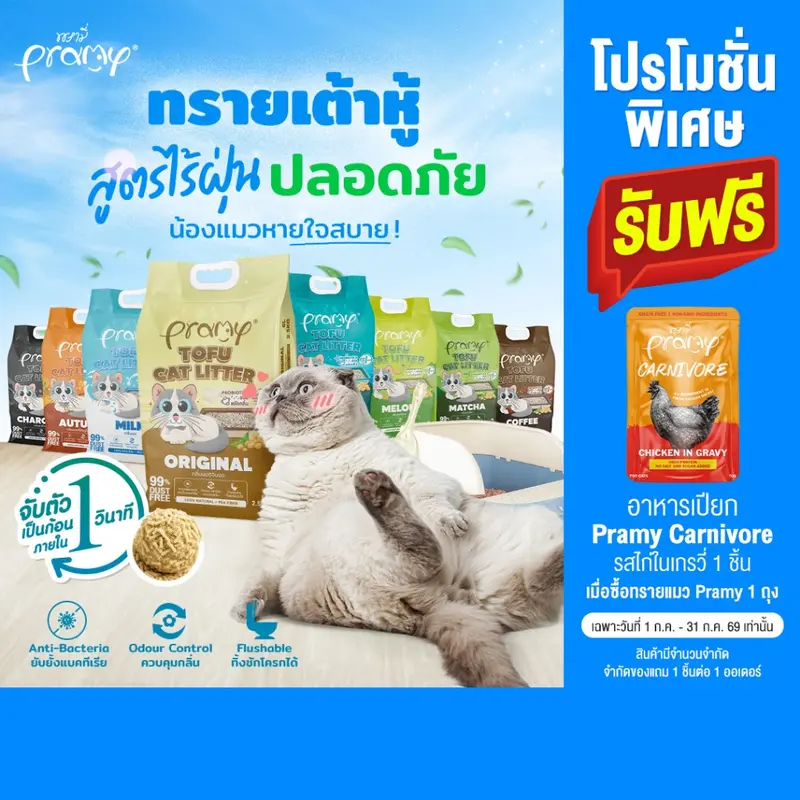 Pramy ทรายแมวเต้าหู้ สูตรไร้ฝุ่น จับตัวเป็นก้อนเร็ว จากใยถั่วเหลืองธรรมชาติ มีให้เลือก 11 กลิ่น - ภาพที่ 3