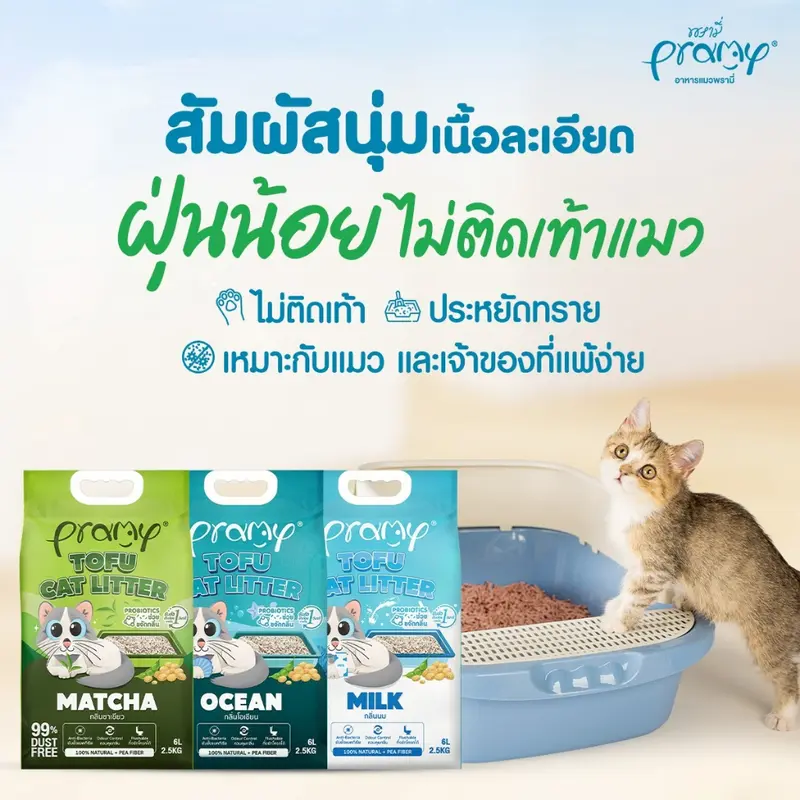 Pramy ทรายแมวเต้าหู้ สูตรไร้ฝุ่น จับตัวเป็นก้อนเร็ว… - ภาพที่ 6