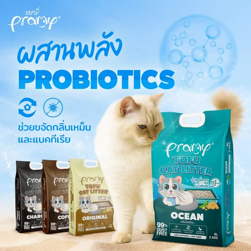Pramy ทรายแมวเต้าหู้ สูตรไร้ฝุ่น จับตัวเป็นก้อนเร็ว… Pramy ทรายแมวเต้าหู้ สูตรไร้ฝุ่น จับตัวเป็นก้อนเร็ว…