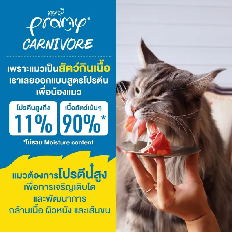 Pramy Carnivore พรามี่ อาหารเปียกแมว อาหารแมว ลูกแมว… - ภาพที่ 4
