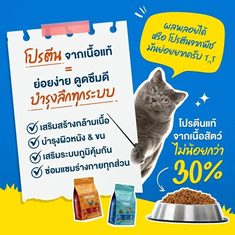 Pramy Carnivore อาหารเม็ดแมว พรามี่ คาร์นิวอร์ ขนาด 1… - ภาพที่ 6