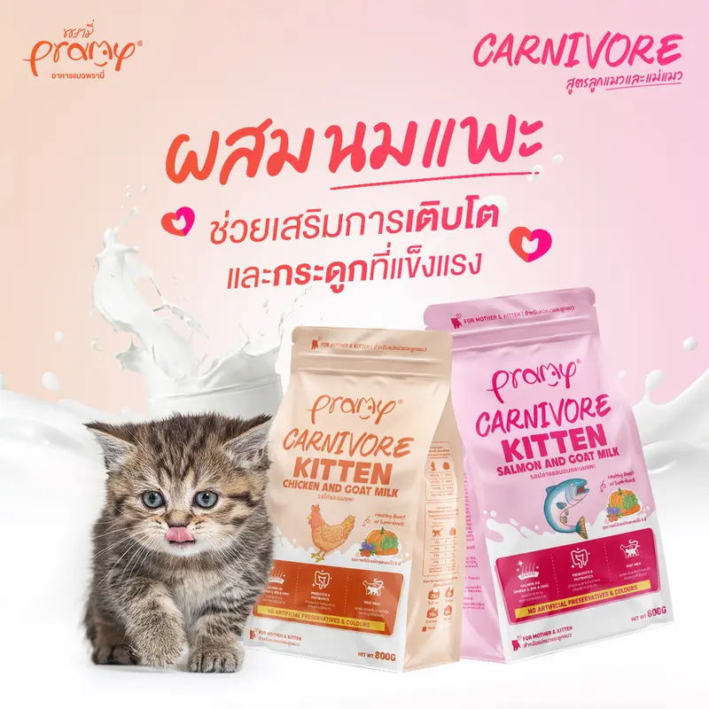 Pramy Carnivore พรามี่ คาร์นิวอร์… - ภาพที่ 3