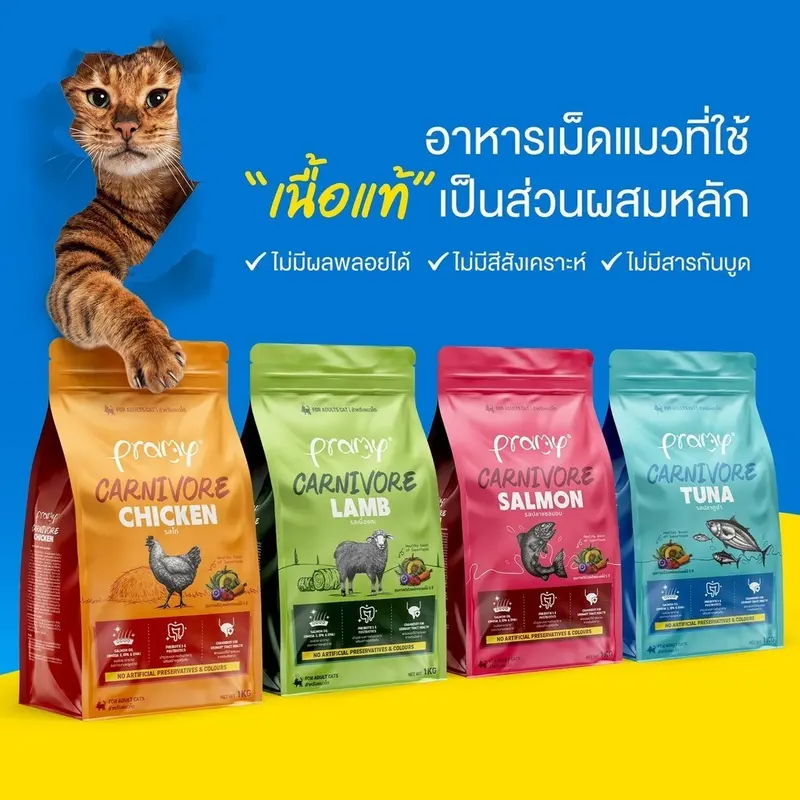 Pramy Carnivore พรามี่ คาร์นิวอร์… - ภาพที่ 4