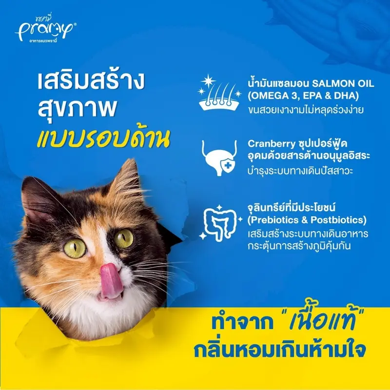 Pramy Carnivore อาหารเม็ดแมวพรามี่ สูตรเน้นเนื้อแท้ โปรตีนสูง เสริมสร้างสุขภาพแบบรอบด้าน ขนาด 800g-1kg - ภาพที่ 6