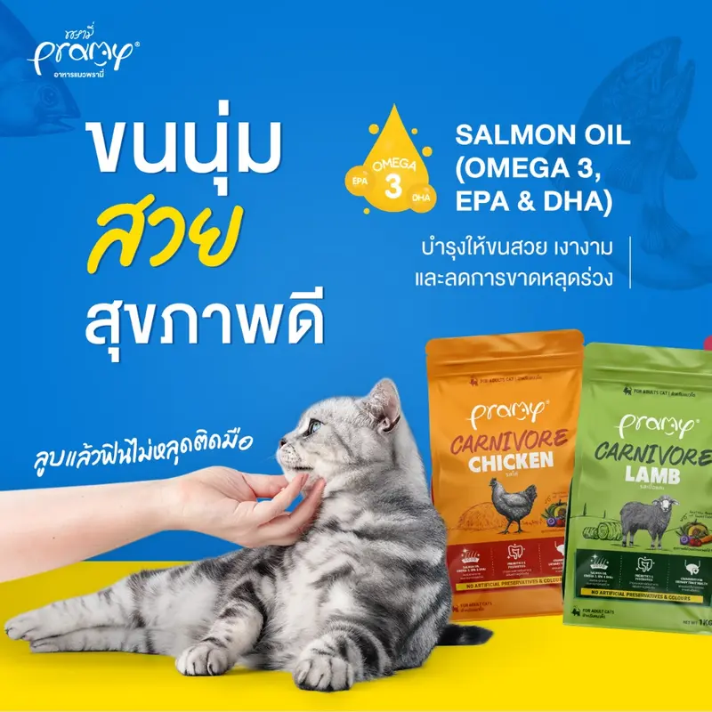 Pramy Carnivore อาหารเม็ดแมวพรามี่ สูตรเน้นเนื้อแท้ โปรตีนสูง เสริมสร้างสุขภาพแบบรอบด้าน ขนาด 800g-1kg - ภาพที่ 6