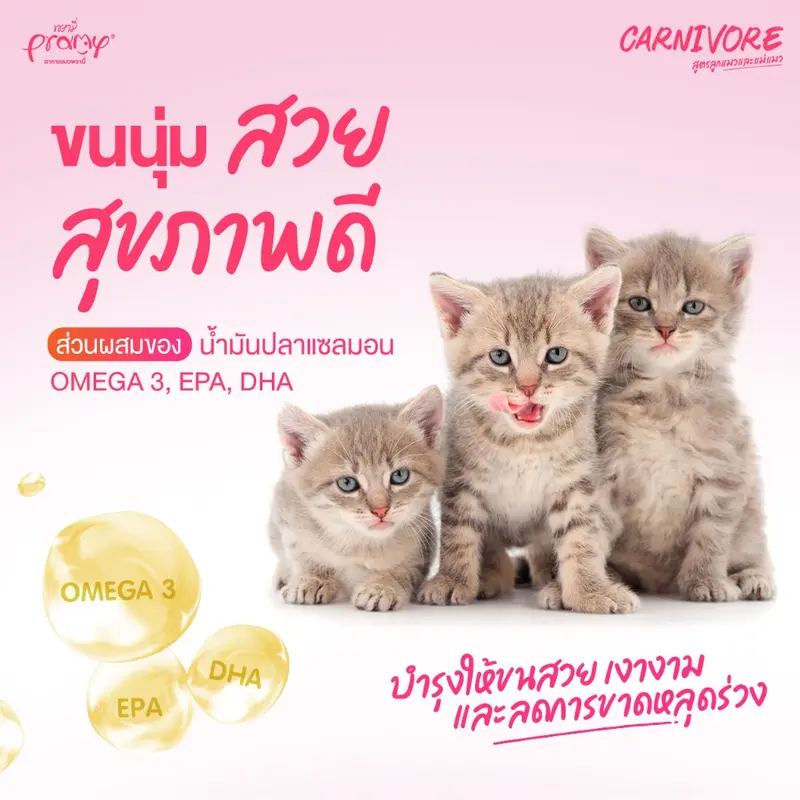 Pramy Carnivore อาหารเม็ดแมวพรามี่ 800g - 1kg… - ภาพที่ 5
