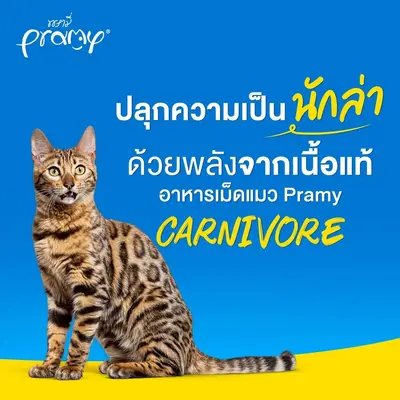 Pramy Carnivore… - ภาพที่ 3