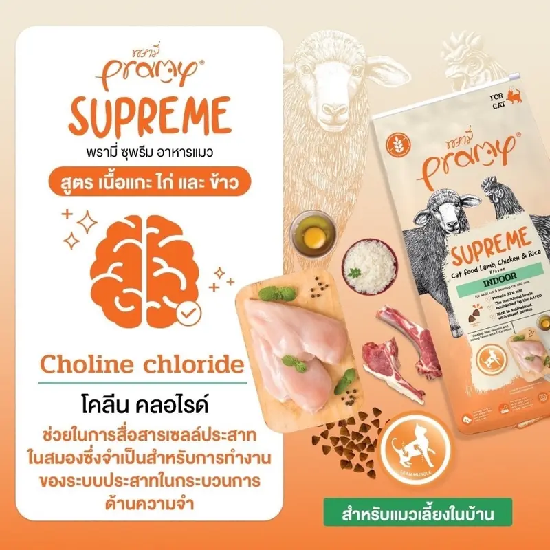 Pramy Supreme อาหารเม็ดแมว สำหรับลูกแมวและแมวโต… - ภาพที่ 6