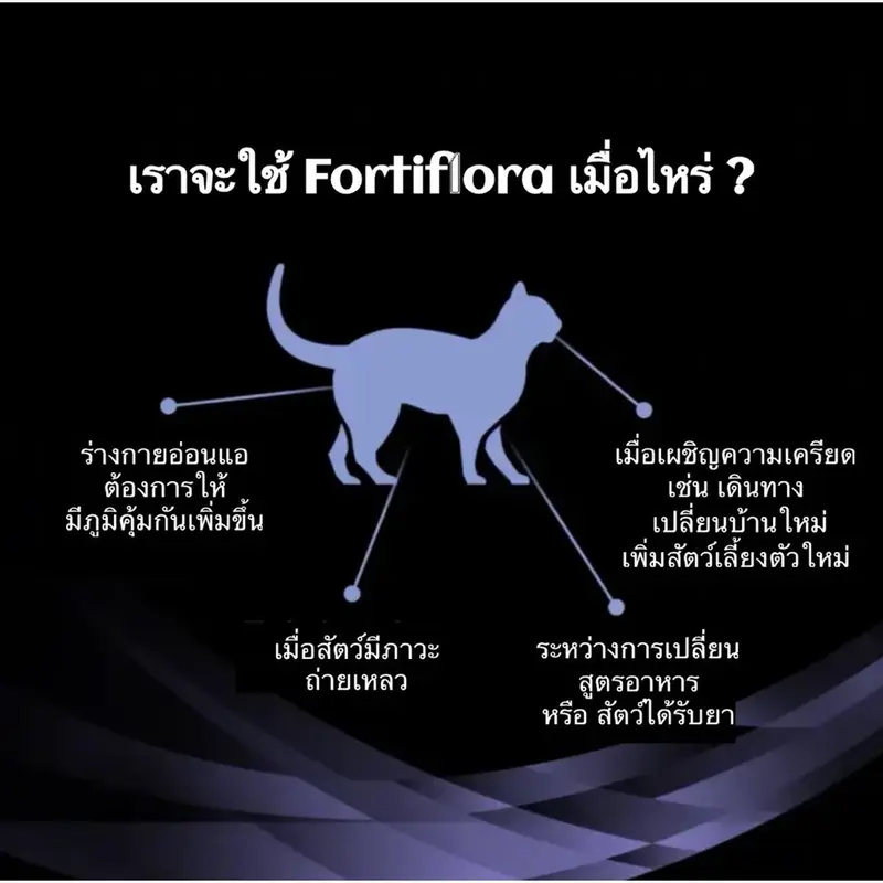 Proplan Fortiflora อาหารเสริมโพรไบโอติกสำหรับสุนัขและแมว ช่วยปรับสมดุลทางเดินอาหาร เสริมภูมิคุ้มกัน - ภาพที่ 6