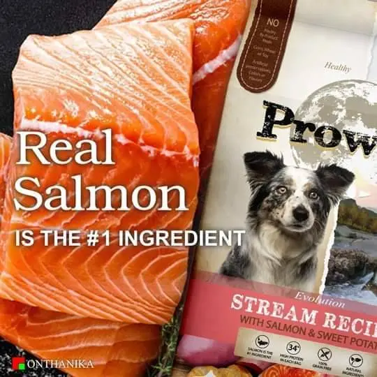 Prowild โปรไวลด์ อีโวลูชั่น สตรีม เกรนฟรี สูตรแซลมอน อาหารสุนัขทุกขนาดทุกช่วงวัย ขนาด 15 kg - ภาพที่ 4