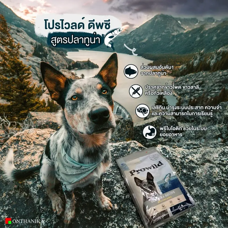 Prowild โปรไวลด์ อาหารสุนัขเกรด… - ภาพที่ 5