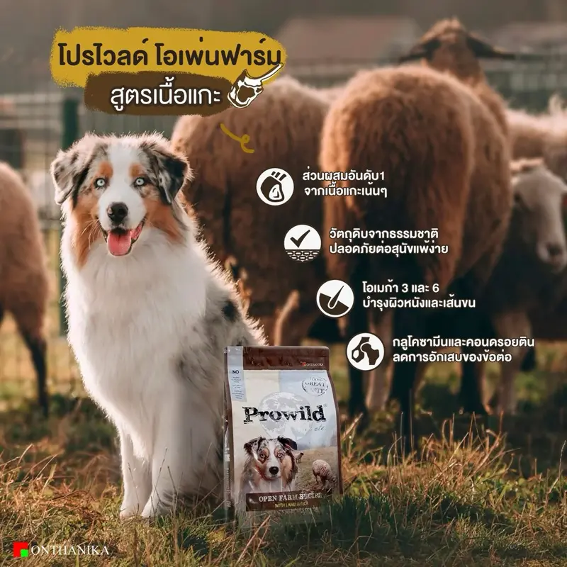 Prowild โปรไวลด์ อาหารสุนัขเกรด… - ภาพที่ 6