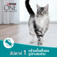[ถูกสุด] Purina ONE เพียวริน่า วัน อาหารแมว ขนาด 1.2 kg - ภาพที่ 6