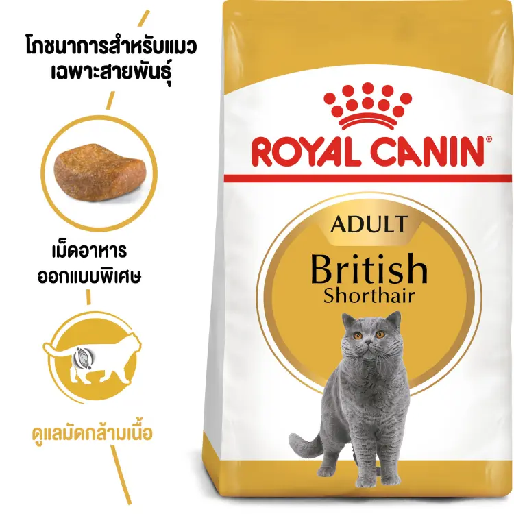Royal Canin British Shorthair Adult อาหารแมว พันธุ์บริติช ชอร์ตแฮร์ แมวโต อายุ 12 เดือน ขึ้นไป 2 kg - ภาพที่ 3