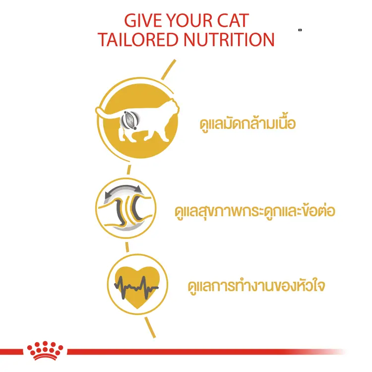 Royal Canin British Shorthair Adult อาหารแมว พันธุ์บริติช ชอร์ตแฮร์ แมวโต อายุ 12 เดือน ขึ้นไป 2 kg - ภาพที่ 4