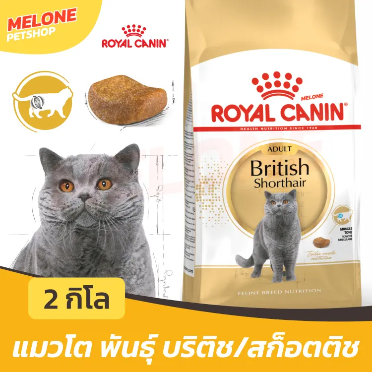 Royal Canin British Shorthair Adult อาหารแมว พันธุ์บริติช ชอร์ตแฮร์ แมวโต อายุ 12 เดือน ขึ้นไป 2 kg Royal Canin British Shorthair Adult อาหารแมว พันธุ์บริติช ชอร์ตแฮร์ แมวโต อายุ 12 เดือน ขึ้นไป 2 kg