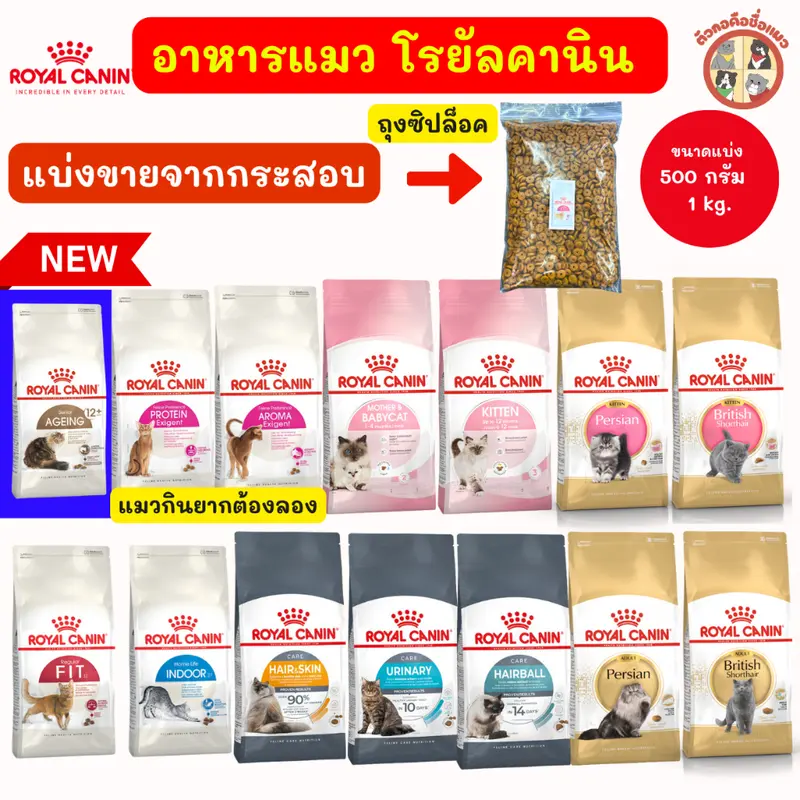 Royal Canin อาหารแมวทุกช่วงวัย - ภาพที่ 4