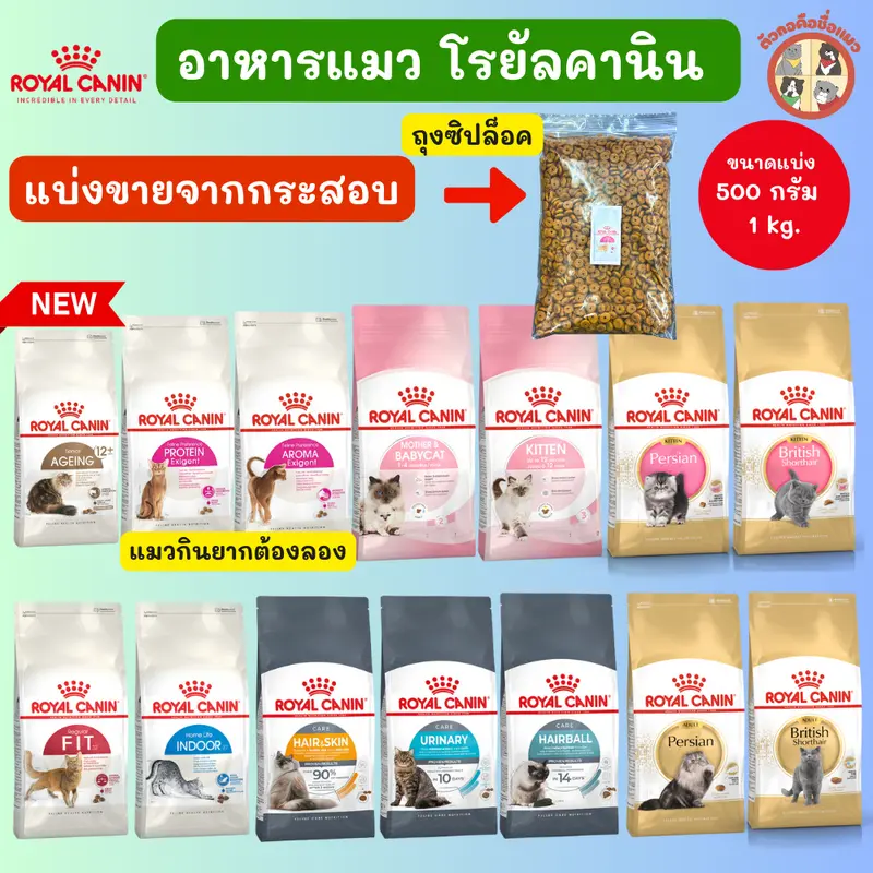 Royal Canin อาหารแมวทุกช่วงวัย Royal Canin อาหารแมวทุกช่วงวัย