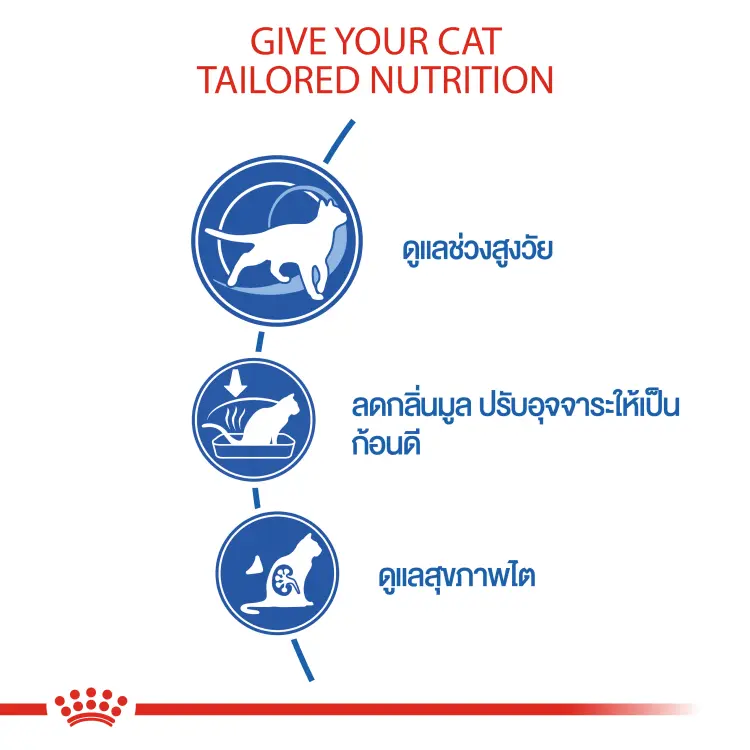 Royal Canin Indoor 7+ รอยัลคานิน อาหารแมว แมวแก่ สูงวัย เลี้ยงในบ้าน 7ปี ขึ้นไป ขนาด 8 kg - ภาพที่ 4