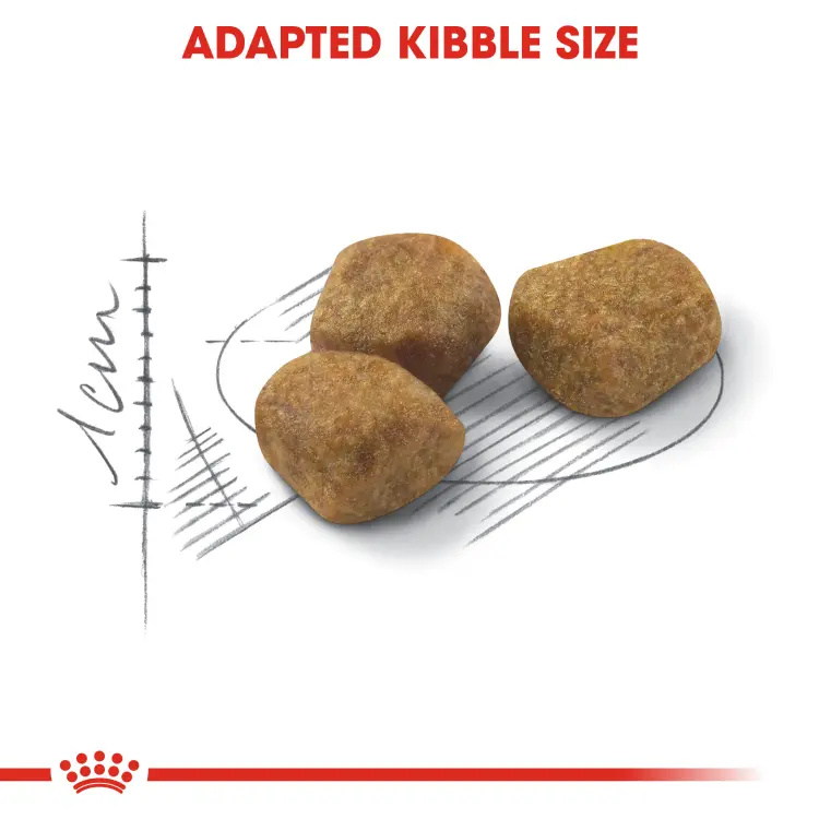 Royal Canin Indoor 7+ รอยัลคานิน อาหารแมว แมวแก่ สูงวัย เลี้ยงในบ้าน 7ปี ขึ้นไป ขนาด 8 kg - ภาพที่ 5