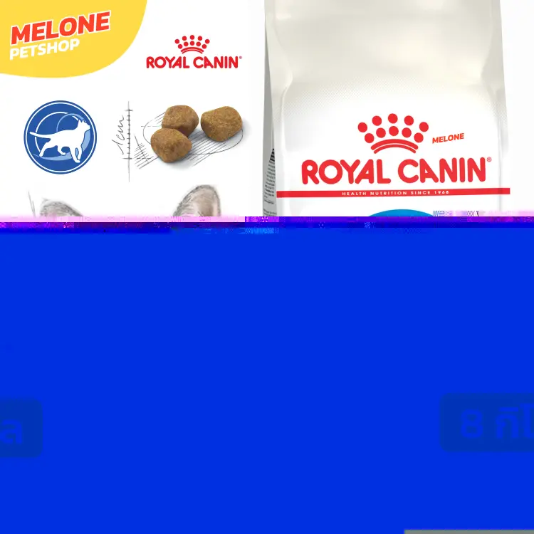 Royal Canin Indoor 7+ รอยัลคานิน อาหารแมว แมวแก่ สูงวัย เลี้ยงในบ้าน 7ปี ขึ้นไป ขนาด 8 kg Royal Canin Indoor 7+ รอยัลคานิน อาหารแมว แมวแก่ สูงวัย เลี้ยงในบ้าน 7ปี ขึ้นไป ขนาด 8 kg