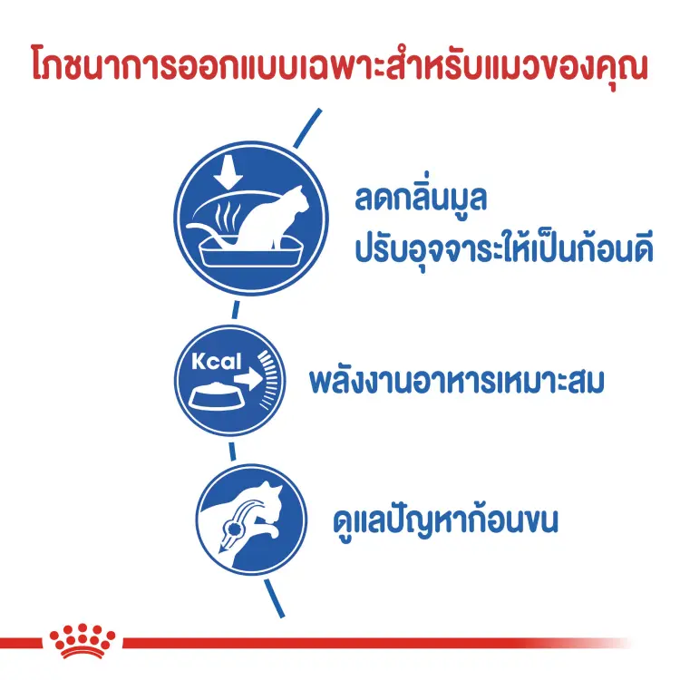 Royal Canin Indoor Adult อาหารแมว รอยัลคานิน อินดอร์ แมวโต เลี้ยงในบ้าน บำรุงขน ลดกลิ่น ขนาด 2 kg - ภาพที่ 4