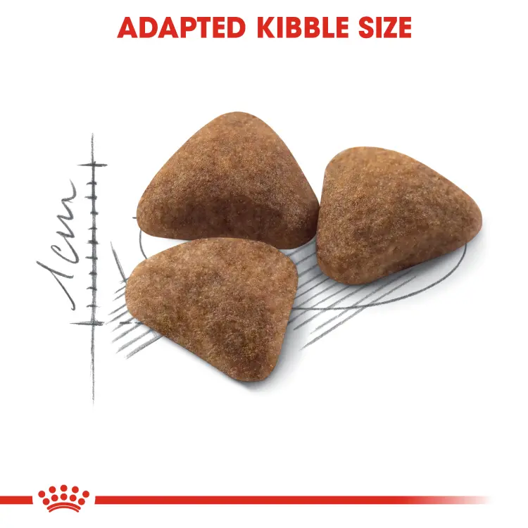 Royal Canin Indoor Adult อาหารแมว รอยัลคานิน อินดอร์ แมวโต เลี้ยงในบ้าน บำรุงขน ลดกลิ่น ขนาด 2 kg - ภาพที่ 5