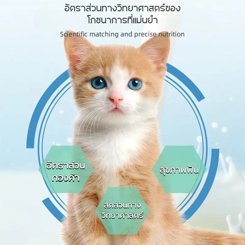 SKISOPGO ขนมหญ้าแมว คุกกี้เเมวรสมิ้น กลิ่นใบมินต์ ขนมแมวฟรีซดราย ขนมแมว ย่อยง่ายและดูดซึม บิสกิตเเมว - ภาพที่ 4