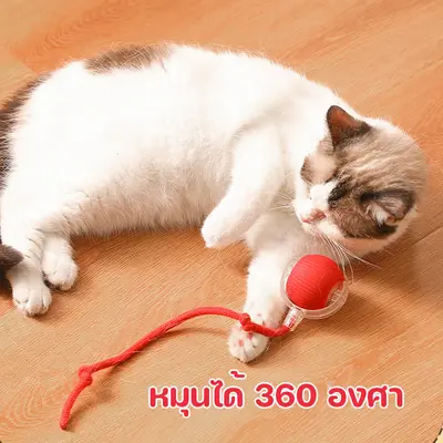 SKISOPGO ของเล่นแมวลูกบอลแมวอัติโนมัติ สมาร์ทไฟฟ้า… - ภาพที่ 4