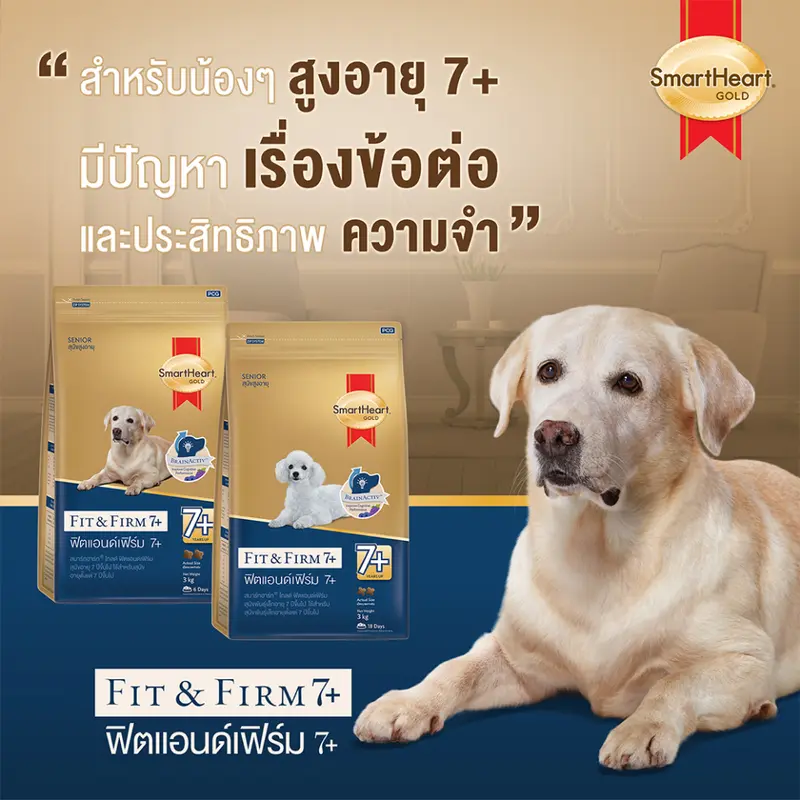 [ล็อตใหม่] อาหารสุนัข SmartHeart Gold Fit and Firm 7+ สมาร์ทฮาร์ท โกลด์ พันธุ์เล็ก พันธุ์กลาง พันธุ์ใหญ่ 7+ 3 kg - ภาพที่ 4