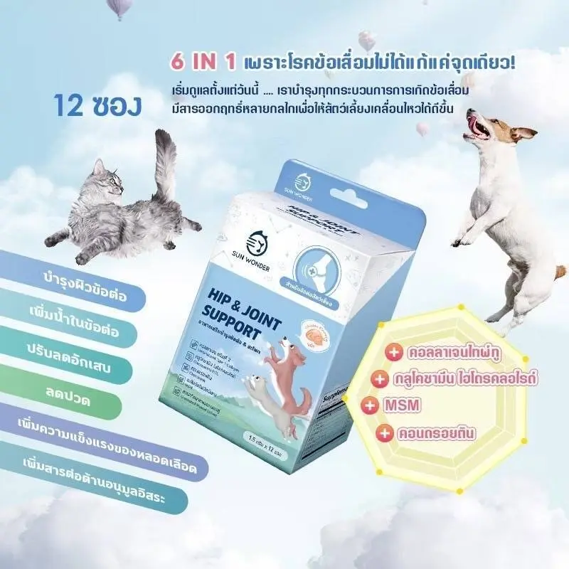 Sun Wonder ซันวันเดอร์ ปรับสมดุลสำไส้… - ภาพที่ 6