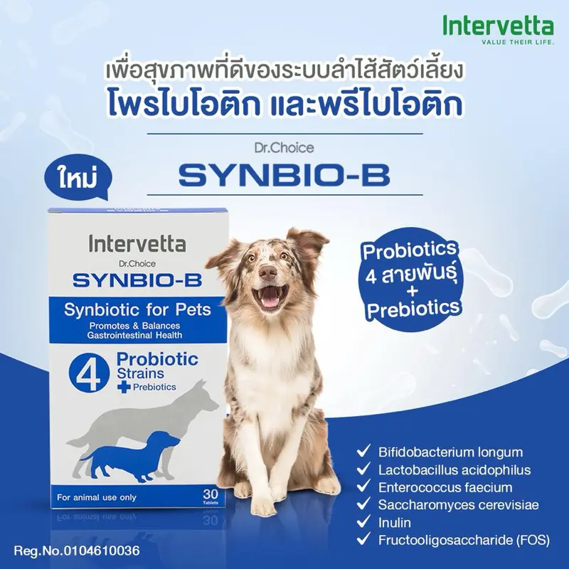 Synbio-B โปรไบโอติกสำหรับสัตว์เลี้ยงชนิดเม็ด - ภาพที่ 3