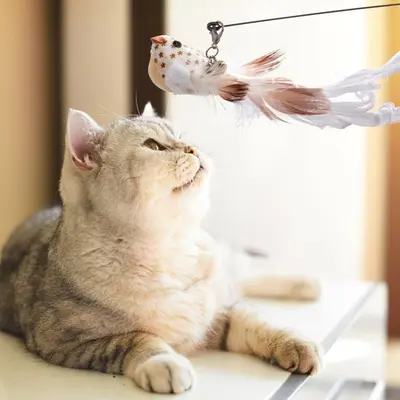 TME ของเล่นแมวจําลองนกแบบโต้ตอบ Feather Bird พร้อม… - ภาพที่ 6
