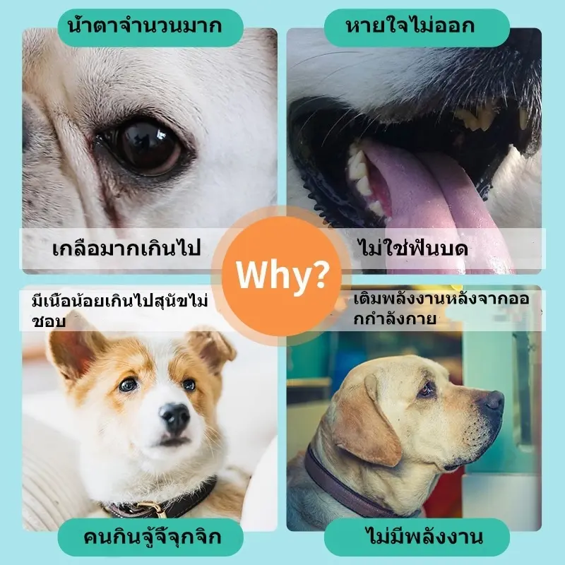 TUBI ขนมสุนัข ขนมหมาเพื่อสุขภาพ ขนมขบเคี้ยวสำหรับสัตว์เลี้ยงอาหารสัตว์เลี้ยงการรักษาสุนัขการรักษาฟัน - ภาพที่ 3