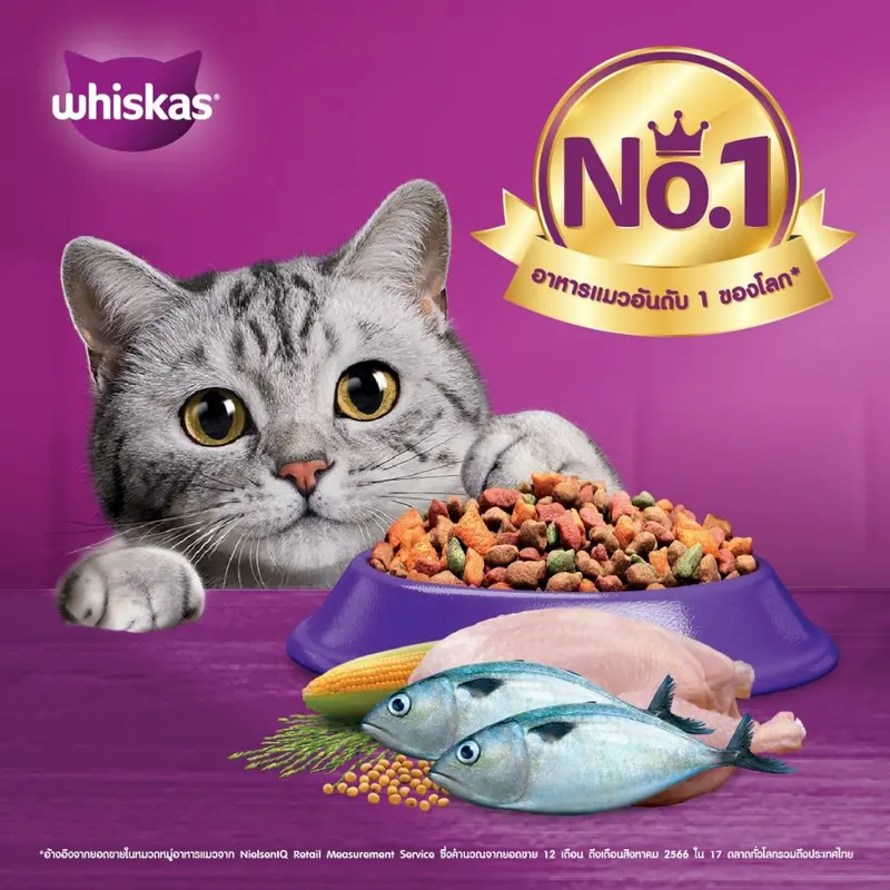 Whiskas วิสกัส อาหารแมวชนิดแห้ง แบบเม็ด ขนาด 2.7- 3กิโลกรัม - ภาพที่ 6