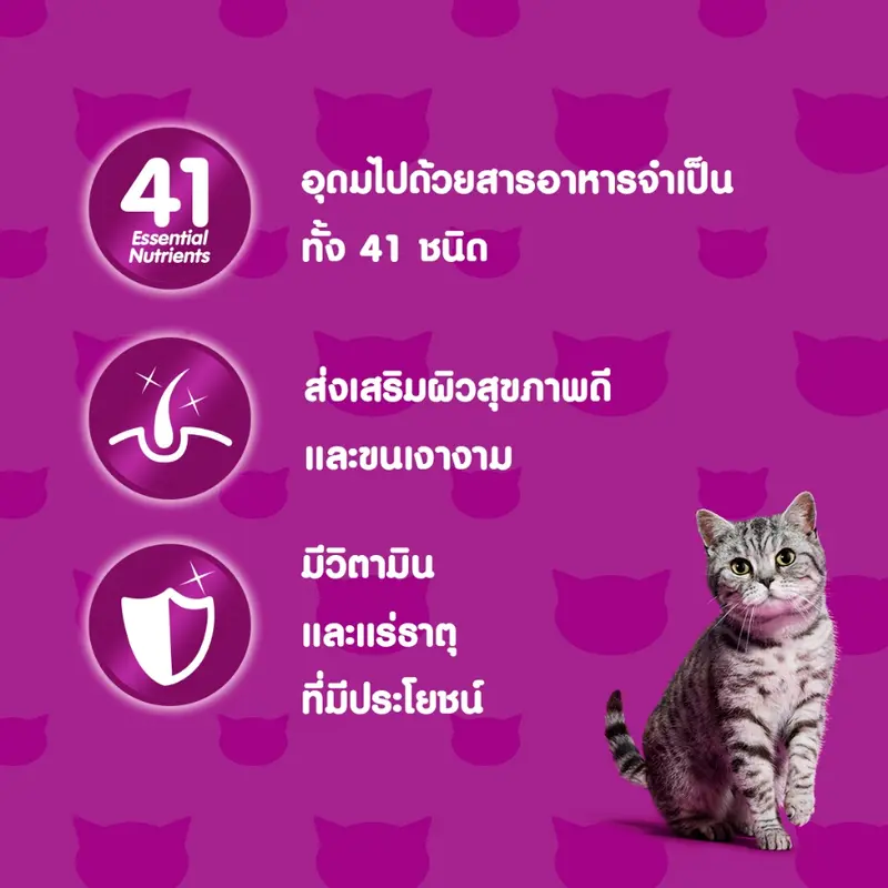 WHISKAS วิสกัส อาหารเปียกแมวโต ลูกแมว แพ็คสุดคุ้ม 80 ก - ภาพที่ 5