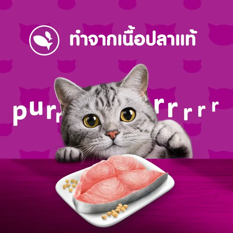 WHISKAS วิสกัส อาหารเปียกแมวโต ลูกแมว แพ็คสุดคุ้ม 80 ก - ภาพที่ 6