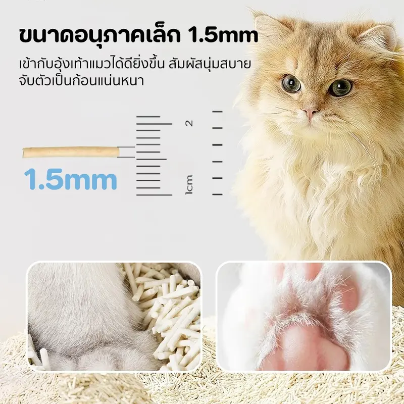 Winky Wink ทรายแมวเต้าหู้ 6L ดับกลิ่นดีเยี่ยม… - ภาพที่ 6