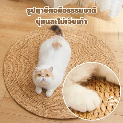 Winky Wink วงกลมพรมลับเล็บแมว 3 in 1 แผ่นลับเล็บแมว… - ภาพที่ 3