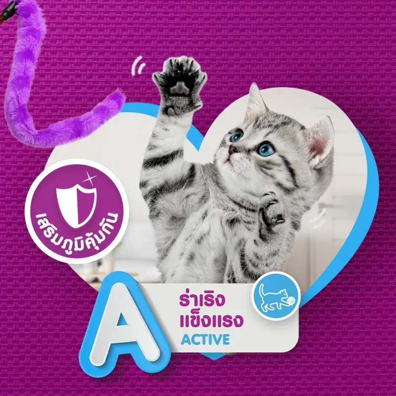 [กล่อง x12] [แถมเม็ด 50g ต่อโหล] Whiskas วิสกัส อาหารเปียกแมว 80 กรัม สูตรแมวโต แมวเด็ก แมวสูงอายุ - ภาพที่ 5