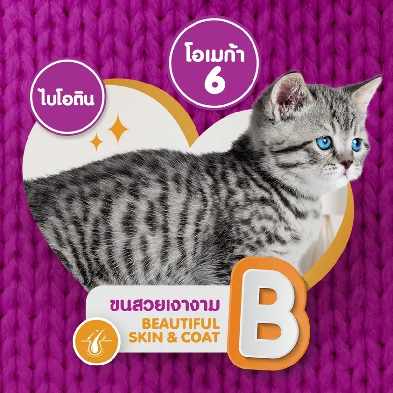 [กล่อง x12] [แถมเม็ด 50g ต่อโหล] Whiskas วิสกัส อาหารเปียกแมว 80 กรัม สูตรแมวโต แมวเด็ก แมวสูงอายุ - ภาพที่ 6